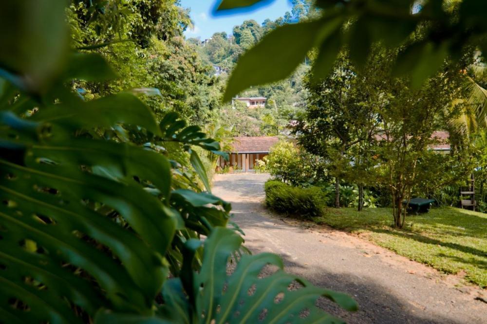 Clove Garden Kandy Exterior foto